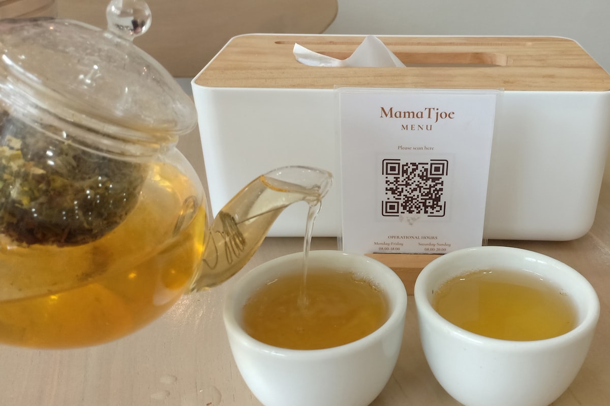 如何辨别正宗云南普洱茶:产地、工艺与仓储要点