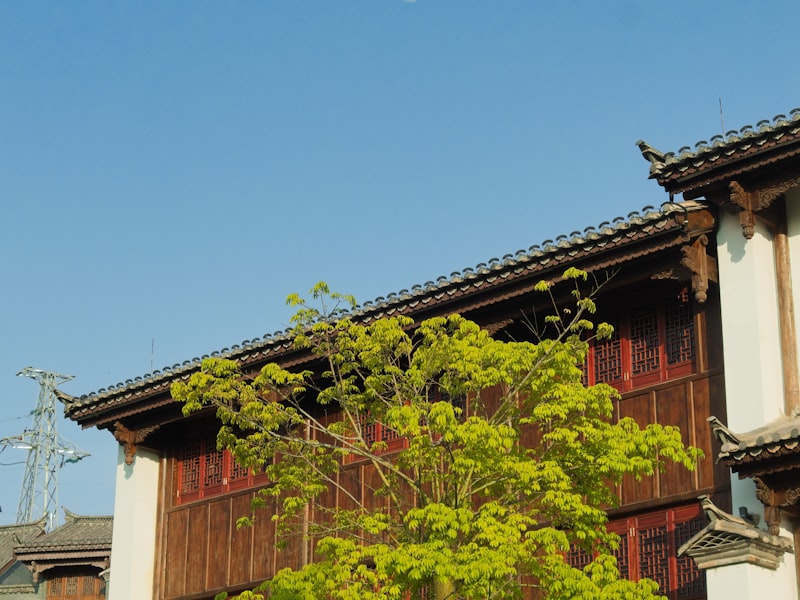 云南勐海古树普洱茶园基地